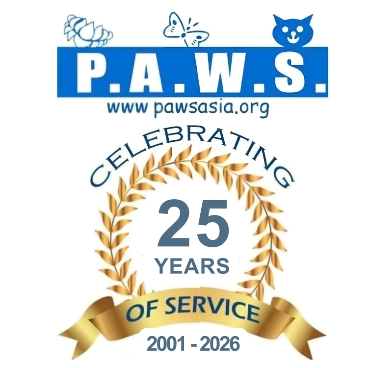 Animated Website for PAWS Asia