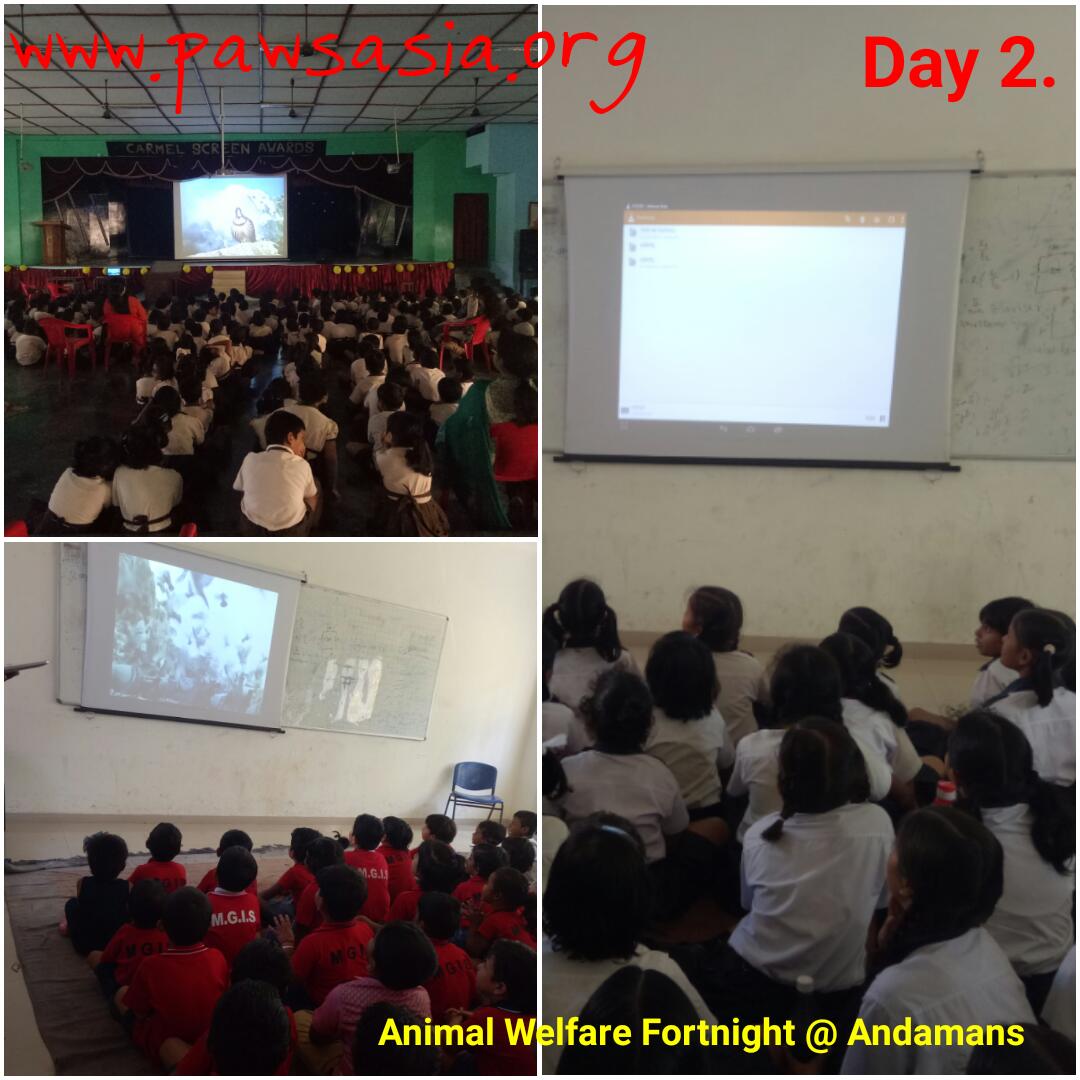 andaman-2nd-day