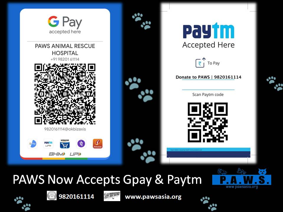 QR CODE GPAY